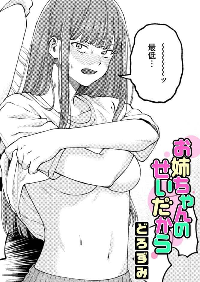 お姉ちゃんのせいだから