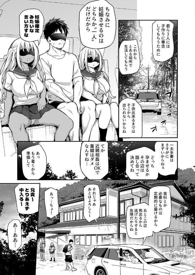 妹と子作りしないと出られない島（3）