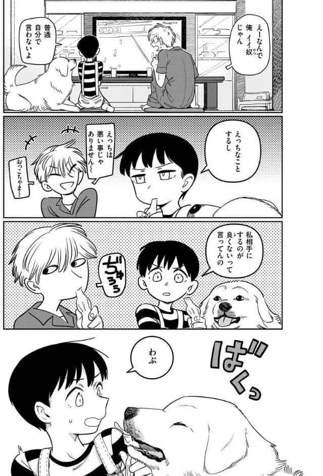 君は性春期
