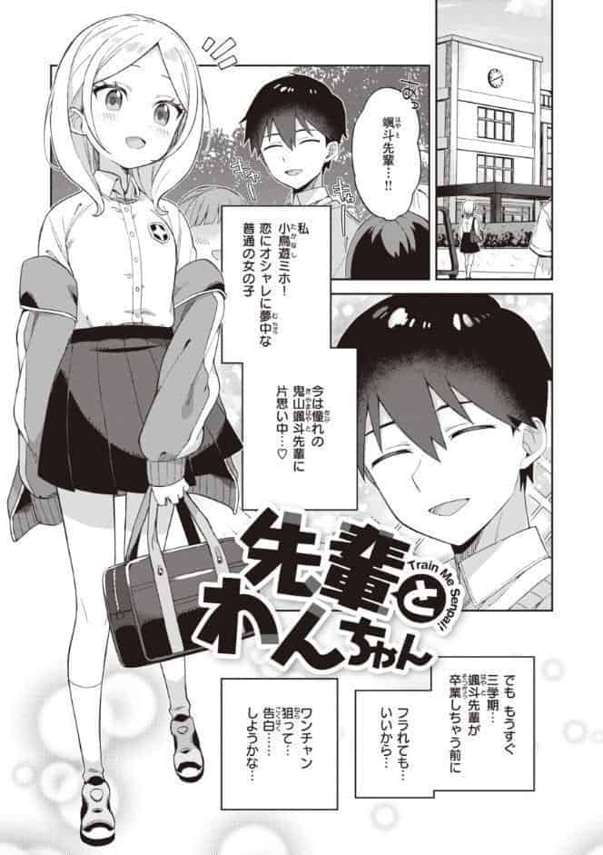 かわいそうなキミはかわいい