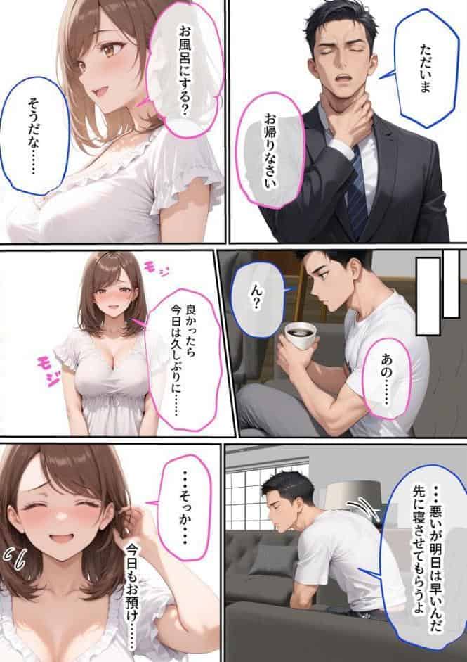 ただ空き巣に入っただけのはずが欲求不満な人妻を堕とすことになった話〜盗んだのは物ではなく躰でした〜 モザイク版