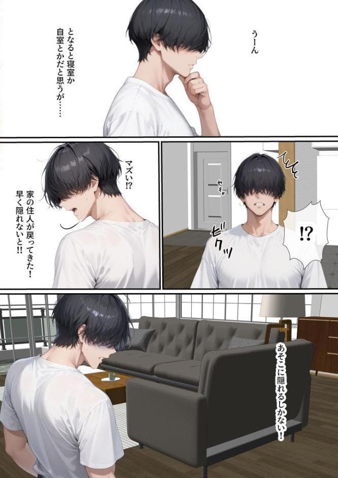 ただ空き巣に入っただけのはずが欲求不満な人妻を堕とすことになった話〜盗んだのは物ではなく躰でした〜 モザイク版