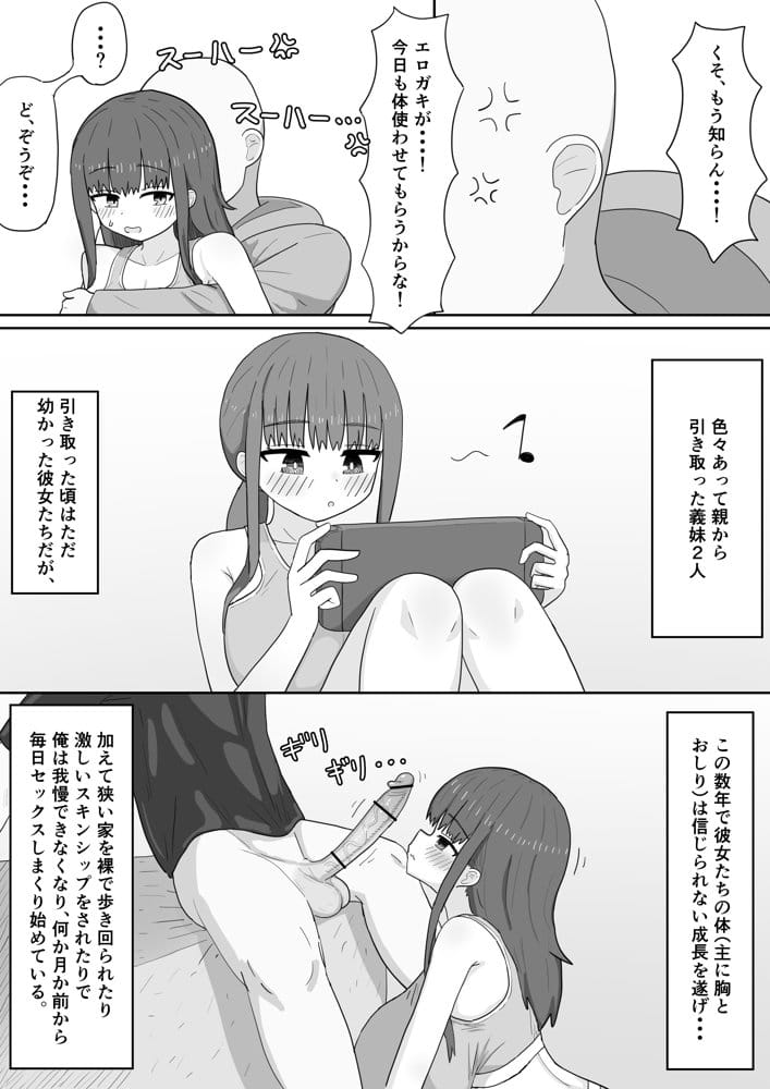 家で飼ってる引きこもり巨乳義妹×2と勢いで孕ませエッチした