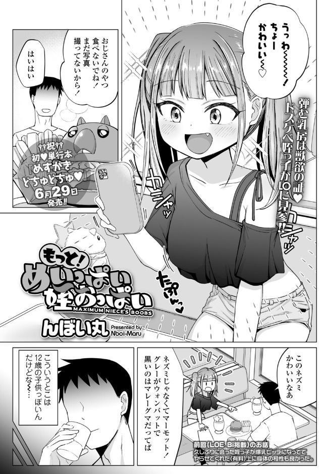 もっと！めいっぱい姪おっぱい