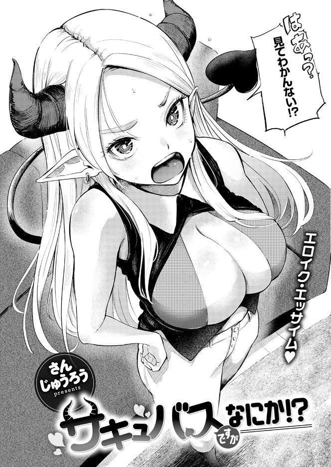 サキュバスですがなにか！？